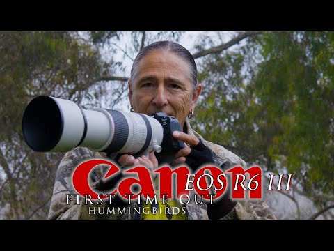 Canon R6III first time out - hummingbirds. My initial thoughts, rolling shutter and the buffer.....