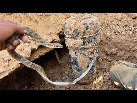 The Treasure That Will Change World ❌ Unbelievable Secrets Discovered Using a Metal Detector