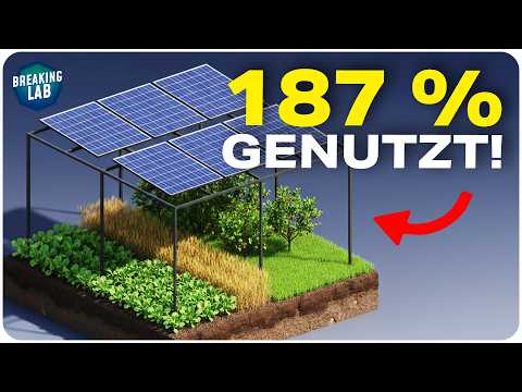 Agri-PV: 500 Gigawatt Potential! Lohnt es sich?