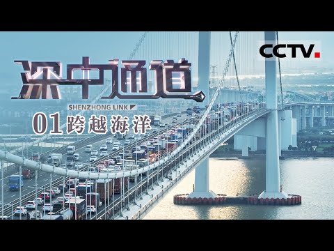 《深中通道》EP1 这是一个足以让世界震惊的超级跨海工程！中国人正在挑战极限——跨越海洋【CCTV纪录】