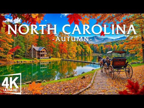 Autumn in North Carolina 🍁 Blue Ridge Parkway, Great Smoky Mountains & Asheville Streets
