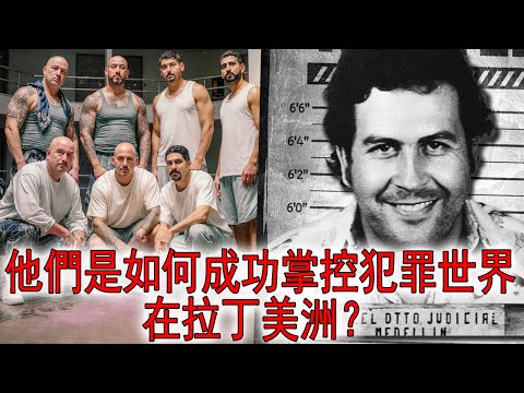 麥德林集團 (Medellín Cartel) 哥倫比亞最有影響力的販毒集團！他們如何佔領犯罪世界並開始向美國、墨西哥和拉丁美洲供應可卡因、武器、人口？Pablo Escobar 巴勃羅·埃斯科瓦爾