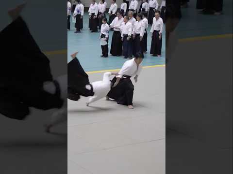 DYNAMIC AIKIDO Suzuki Toshio Shihan #martialarts #alljapanaikido #aikido