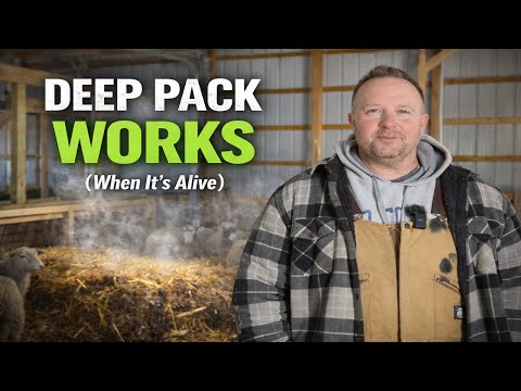 Why Deep Pack Works (And Why It Fails So Badly When It Doesn't)