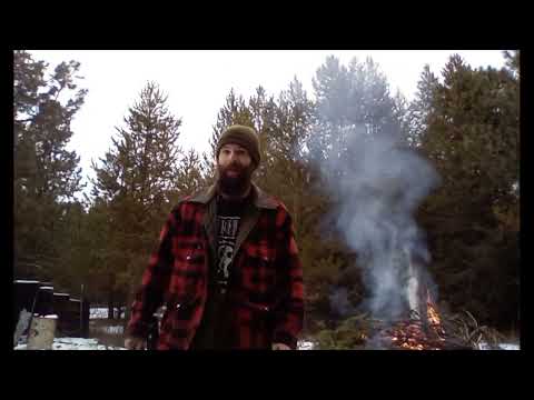 Firewood Logging and Burn Piles