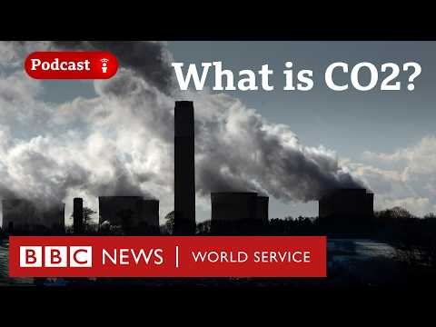 How does carbon dioxide shape our world? - The Climate Question podcast, BBC World Service