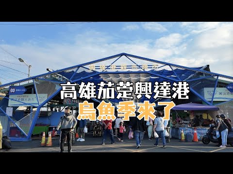 Kaohsiung Qieding Xingda Harbor Seafood Market VLOG | The most authentic seafood market stroll ex...