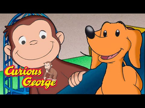 The Doggie Rescue Mission! π΅ Curious George π΅ Kids Cartoon π΅ Kids Movies