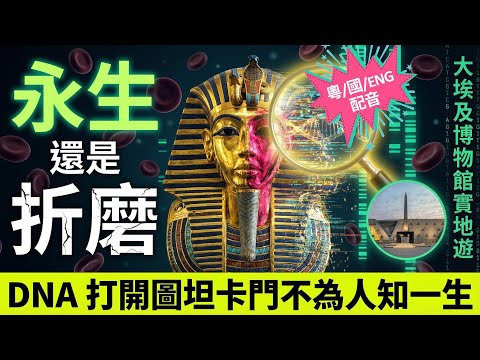 【古埃及懸案😱】大埃及博物館(GEM)實地直擊🇪🇬 圖坦卡門木乃伊被肢解?科學還原黃金面具下的歷史真相|外星匕首、棺材失誤 | 5000件寶藏首度合體|金字塔下的三千年歷史懸案 | 古埃及系列