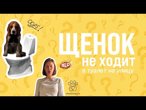 Щенок НЕ ХОДИТ в туалет на улице 🚾😱