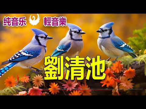 劉清池 👍 太美了 👍 雷射音樂現場演奏 精選懷念旋律 高音質！超立體動向音樂 🎶超級環繞音樂 懷念音樂演奏 杜比環繞音效錄製 Relaxing Chinese