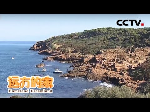 《远方的家》一带一路(485)阿尔及利亚 地中海南岸的中国故事 20190509 | CCTV中文国际