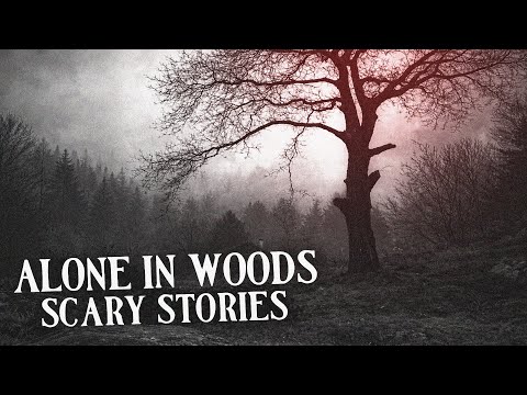 9 True Alone in the Woods Scary Stories | Mr. Skeleton