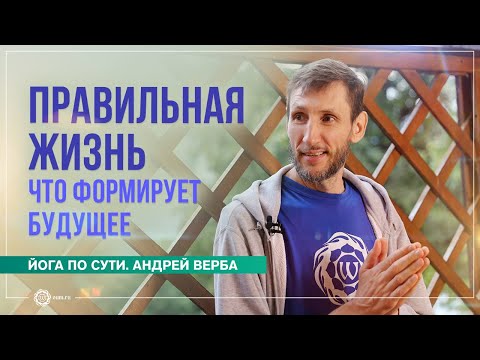 Правильная жизнь. Что формирует будущее