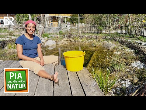 Was Gold und Drachen im Garten machen | Reportage für Kinder | Pia und die wilde Natur | BR