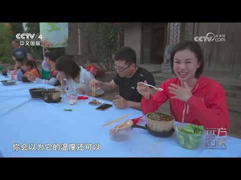 《远方的家》 20240214 山河锦绣看中国 黄河新貌 和美画卷|CCTV中文