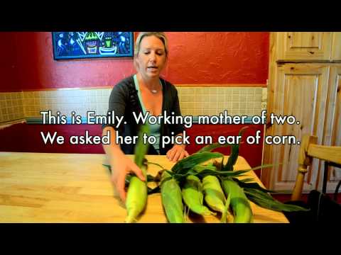 A Corn Story - Buy "Rejected" Corn From a Farmer This Summer