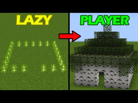 Types of Players Portrayed by Minecraft