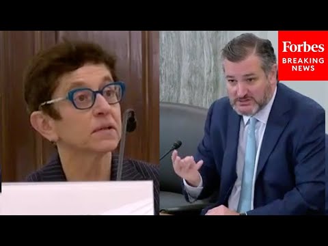 'She Testified Falsely': Cruz Slams Gigi Sohn, Biden's FCC Chairman Nominee