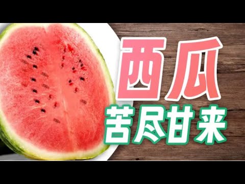 【鬼谷闲谈】西瓜:沙漠苦果如何成为人间至甜