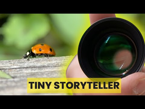 Moment 75 mm Macro Lens Review - an incredible story teller #notsponsored