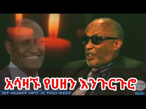 አሳዛኙ የሀዘን እንጉርጉሮ | እነ ዶ/ር አምባቸው ሲታወሱ | በመርሃጽድቅ መኮንን | የዶ/ር አምባቸው አማካሪ