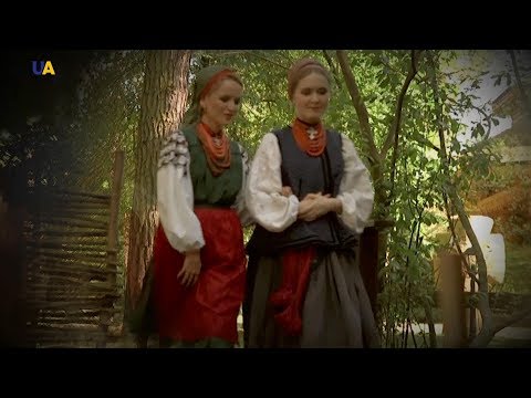 Полтавська сорочка, частина 1 | Древо