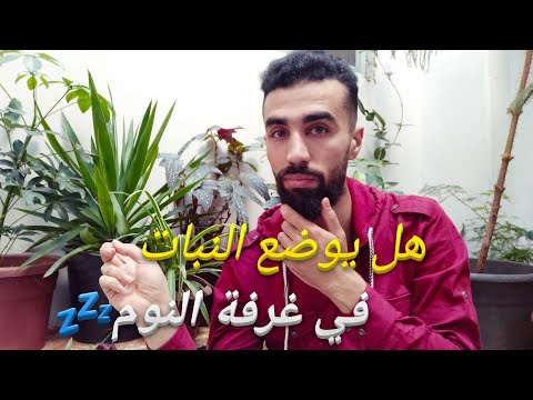 هل وجود النبات في غرفة النوم ضار