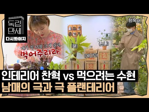 Chanhyuk who buys to decorate vs Suhyun who buys to eat