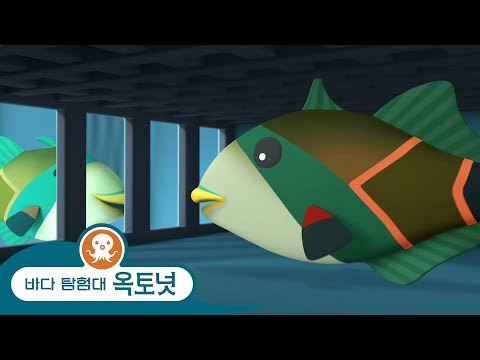 바다 탐험대 옥토넛 - 이상한 이름을 가진 물고기! - 모음집