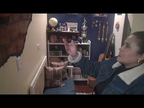 PAULINA RAMIREZ Y SU ARTE