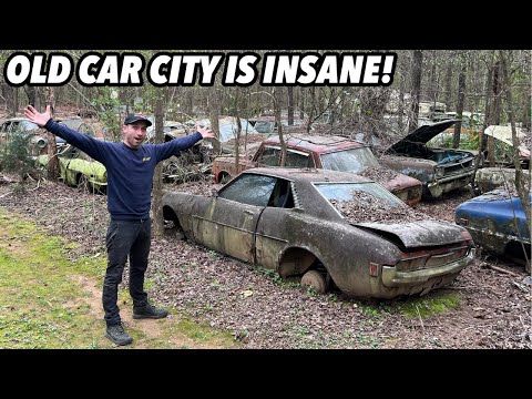 VISITING THE LARGEST JUNKYARD IN THE WORLD! OVER 5000 CARS!