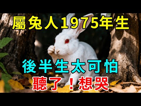 屬兔人，1975年乙卯年生，後半生太可怕！聽了！想哭！【悟者思維】#因果 #風水 #運勢 #生肖 #佛教 #財運