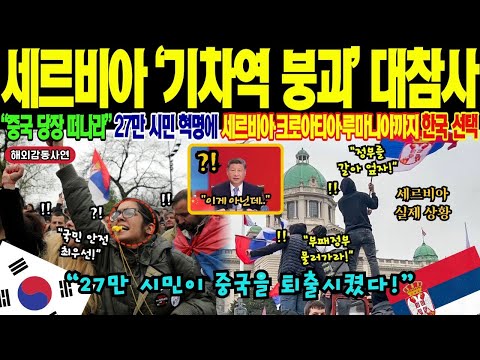 해외감동사연 한국 선택했어야 했다 세르비아 기차역 사고 후 27만 시민 시위 일어났다 한국 280억 대신 중국 140억 선택하더니 철근 40 부족 발칸 전역 뒤집혔다