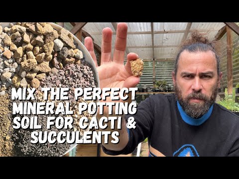 Mineral cactus soil: how to make the perfect mineral soil for cacti and succulents
