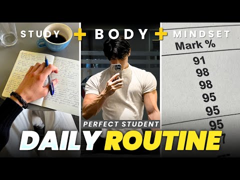 The PERFECT Daily Routine for Students (You're Doing It Wrong!)