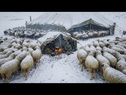 trapped in afghanistan's deadliest blizzard - shepherds survival story