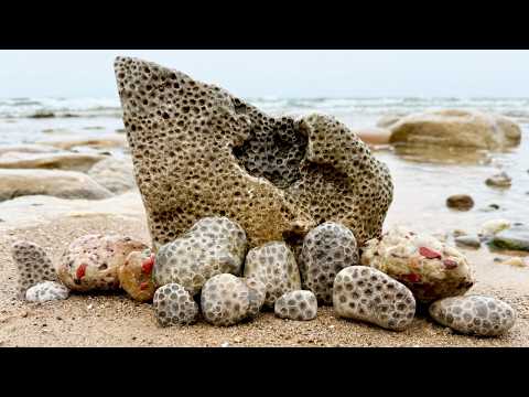 Cold, Wet, and Worth It? Rock Hunting Showdown!