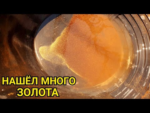 НАШЁЛ МНОГО ЗОЛОТА
