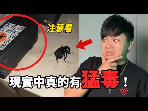 【WOW!外星生物！】現實中真的有猛毒！而且它現在越來越大了···