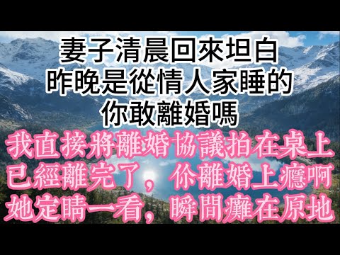 妻子清晨回來坦白：“昨晚是從情人家睡的，你敢離婚嗎？”我直接將離婚協議拍在桌上：“已經離完了，你離婚上癮啊？”她定睛一看，瞬間癱在原地#情感 #故事 #婚姻 #完结文