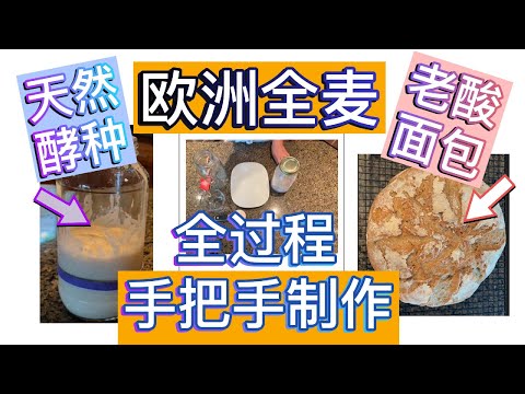 烘培第 8 期：手把手制作欧洲全麦老酸面包 Sourdough 全过程