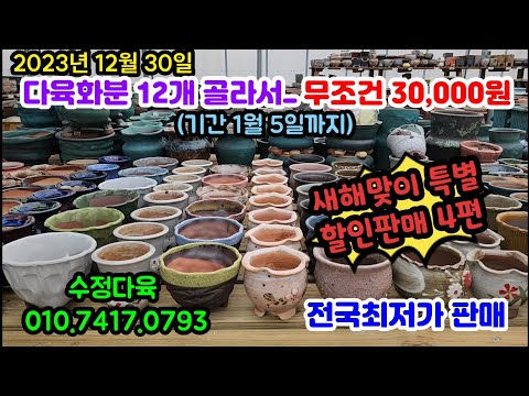 #화분 판매 12월 30일 #다육화분 12개 골라서 무조건 30,000원 판매 새해맞이 특별 할인판매 #수정다육 010.7417.0793 5만원이상 무료배송