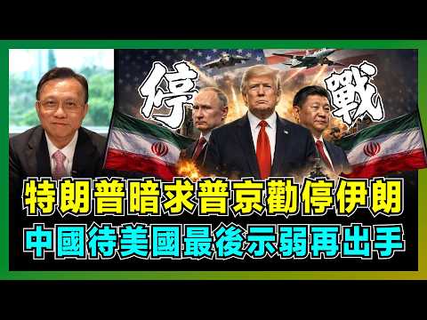 特朗普暗求普京勸停伊朗，中國待美國最後示弱再出手！｜美國四線作戰即將爆發，伊朗封鎖霍爾木茲海峽，油價戰術將如何影響白宮！【屈機大戰略 EP30】