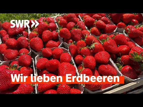 Rot, süß und saftig - mit Erdbeeren in den Sommer starten | SWR Treffpunkt
