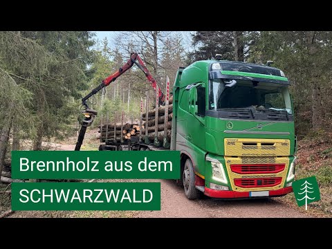 Brennholztransport aus dem Schwarzwald: VOLVO FH 540 mit Loglift Z150 und DOLL Holzaufbau