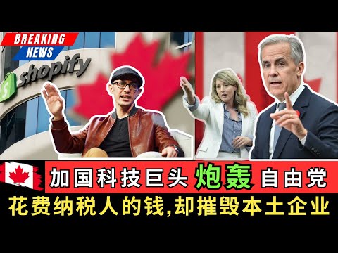 加国科技巨头Shopify炮轰自由党，花费纳税人的钱，却亲手摧毁本土企业，最终会让加拿大的科技未来被彻底扼杀!  #加拿大 #科技 #北美