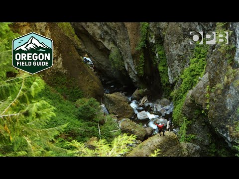 Adventure in Valhalla: Oregon's Hidden Gorge | Oregon Field Guide from the OPB Archives