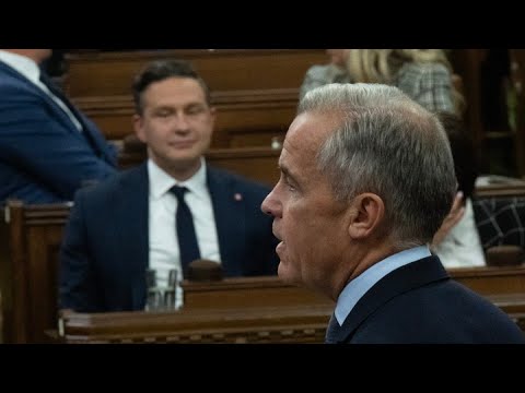 LILLEY UNLEASHED: Food inflation a hard nut for Carney to crack