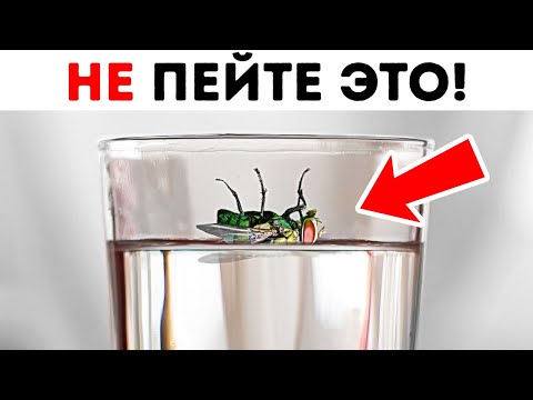 50 советов для ситуаций, в которых нужно действовать быстро